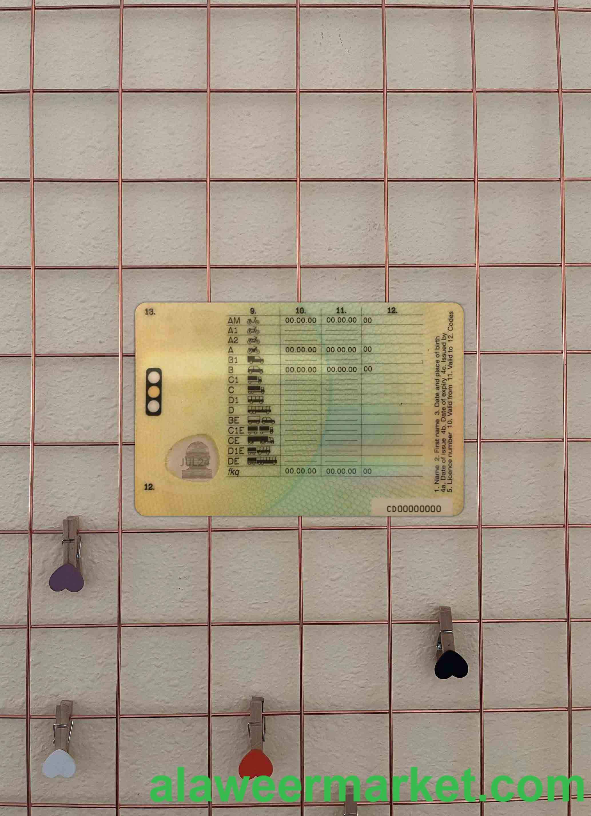 United Kingdom provisional driving license photolook BACK